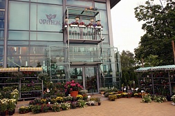 Магазин в Парголово